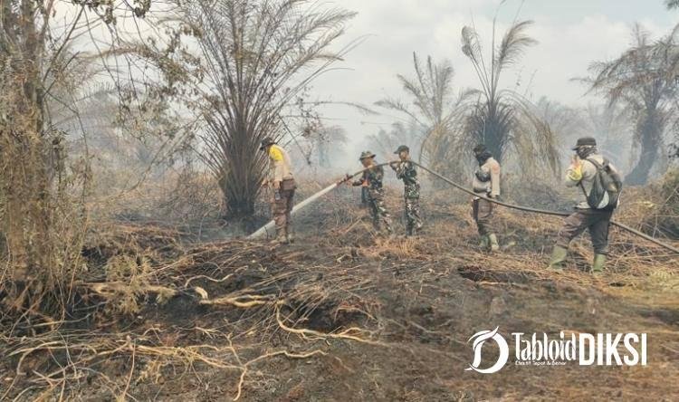 Dua Titik Karhutla Mengamuk di Bengkalis, 11 Hektare Terbakar, Tim Gabungan Dikerahkan