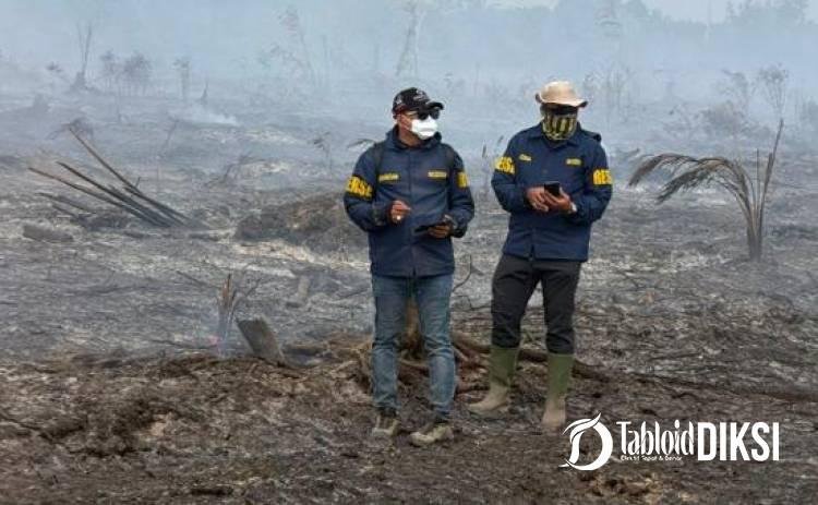 Polisi Bongkar Dugaan Karhutla di Lahan HGU Bengkalis, 2 Orang Tersangka