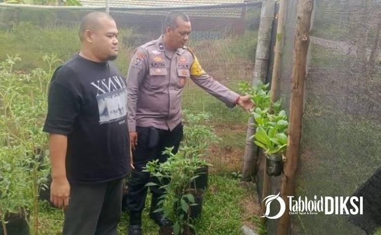 Polsek Bukitraya Cek Tanaman Warga, Cabai hingga Sawi Jadi Penopang Pangan Keluarga