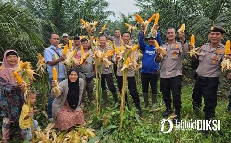 4 Ton Jagung dari Tapung Jadi Bukti Gerak Bersama Menuju Swasembada Pangan