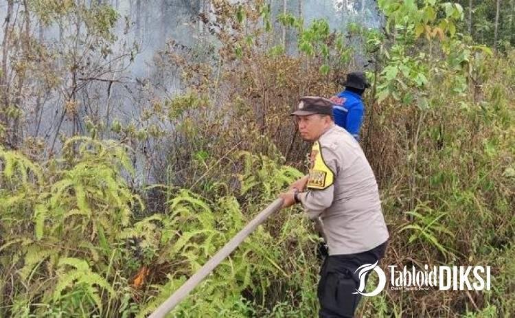 Api Lahap 1 Hektare Lahan di Payung Sekaki, Angin Kencang Bikin Pemadaman Dramatis