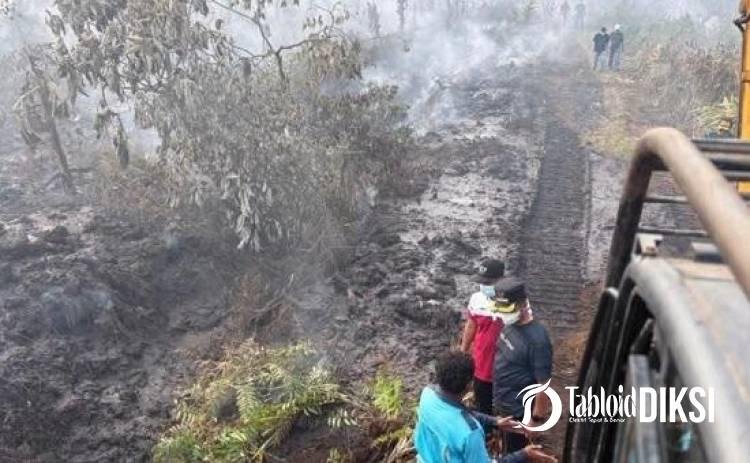 Pangdam, Plt Gubernur dan Kapolda Serta Bupati Kampar Turun Padamkan Karhutla di Rimbo Panjang