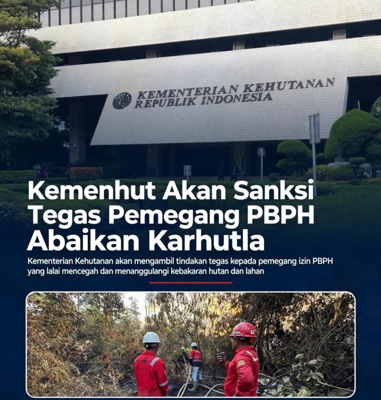 Kemenhut Akan Sanksi Tegas Pemegang PBPH yang Abaikan Karhutla