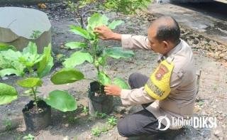 Sambangi Kebun Warga, Bhabinkamtibmas Air Dingin Pantau Tanaman Terong