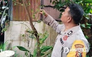 Bukan Sekadar Patroli, Jajaran Polsek Bukitraya Cek Kebun Cabai Warga di Pekanbaru