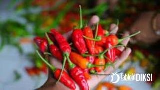Harga Pangan Kian Jadi Sorotan, Cabai Rawit Tembus Rp120 Ribu per Kilogram