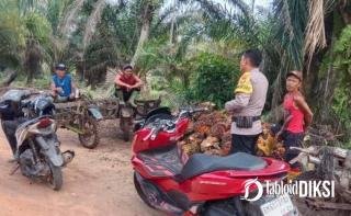 Musim Kemarau Mengintai, Polsek Batu Hampar Gencarkan Patroli Karhutla