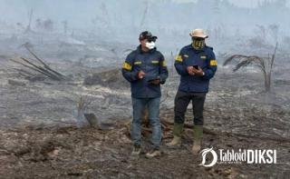 Polisi Bongkar Dugaan Karhutla di Lahan HGU Bengkalis, 2 Orang Tersangka