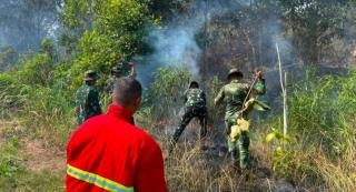 Kementrian LH Terbitkan SE Larangan Pembukaan Lahan dengan Membakar untuk Cegah Karhutla