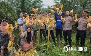 4 Ton Jagung dari Tapung Jadi Bukti Gerak Bersama Menuju Swasembada Pangan