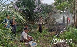 Karhutla Rimbo Panjang Ditaklukkan 4 Jam, Api Dipadamkan Sebelum Meluas
