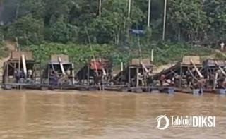 Ironi di Tengah Pacu Jalur: Puluhan Ponton Kembali Nongol di Sungai Kuantan