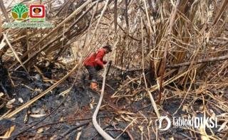 Karhutla Sungai Guntung Hilir Meluas, 434 Hektare Terbakar: Tim Gabungan 16 Hari Berjibaku Lawan Bara Gambut