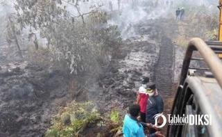 Pangdam, Plt Gubernur dan Kapolda Serta Bupati Kampar Turun Padamkan Karhutla di Rimbo Panjang