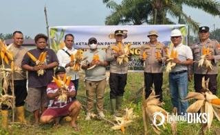 Panen Jagung Jadi Bukti Sinergi Petani dan Polisi di Tapung