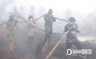 Asap Belum Hilang, 283 Personel Kepung Karhutla 13 Hektare di Kampar