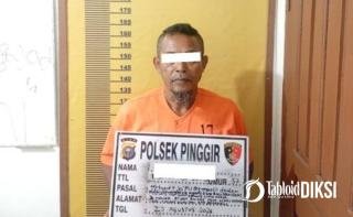 Polisi Usut Dugaan Perambahan Hutan di Konsesi PT Arara Abadi di Talang Muandau 