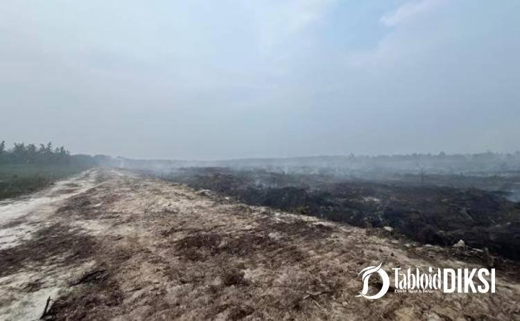 Dari Karhutla ke Dugaan Pendudukan Hutan, Satu Orang Tersangka