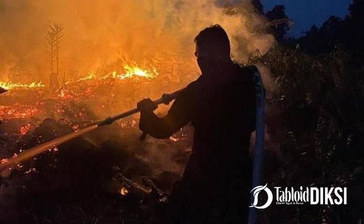 Api Mengamuk hingga Malam, Brimob Riau Tak Mundur Padamkan Karhutla Meranti