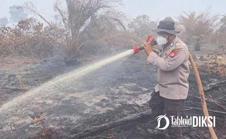 13 Hektare Terbakar, Karhutla Bengkalis Masih Sisakan Titik Api