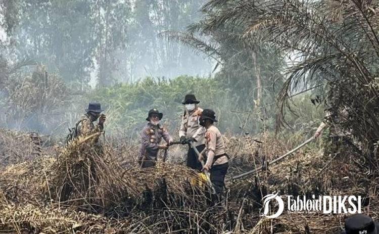 2.958 Hektare Terbakar, Polda Riau Jerat 49 Tersangka Karhutla