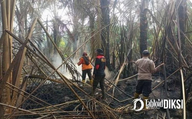 Hari ke-5 Karhutla Teluk Lancar, Polisi dan Tim Gabungan Tak Beri Ruang Api Kembali Berkobar