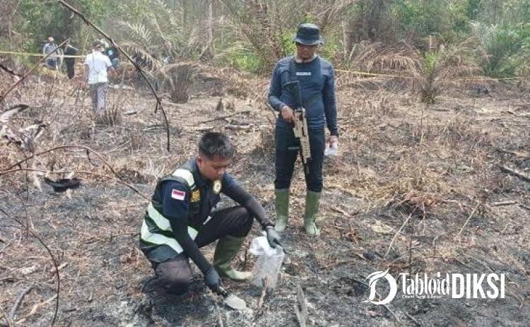 Bakar 3 Titik untuk Buka Kebun Sawit, Api Melahap 1,3 Hektare Lahan, Pelaku ditangkap