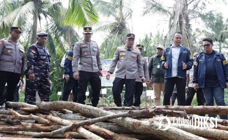 140 Ton Arang Bakau Hendak Dikirim ke Malaysia, Polda Riau Bongkar Dapur Mangrove di Rupat Utara