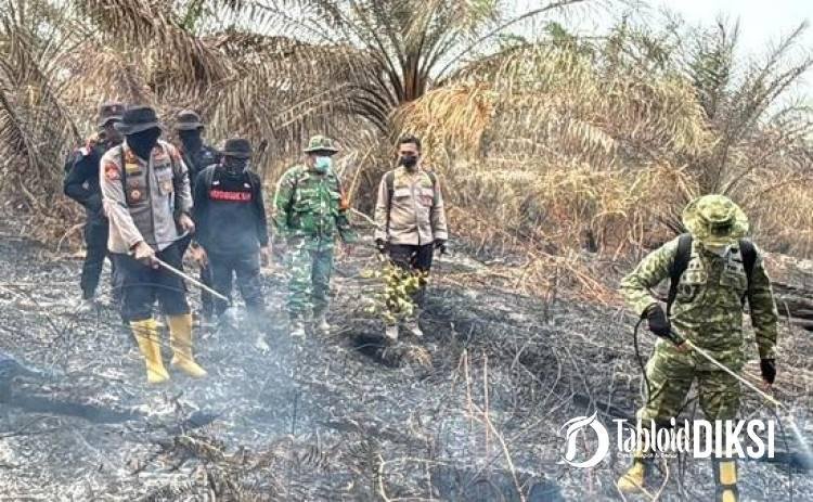 Api Padam, Kewaspadaan Tak Padam! Riau Catat Zero Karhutla Hari Ini