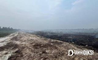 Dari Karhutla ke Dugaan Pendudukan Hutan, Satu Orang Tersangka