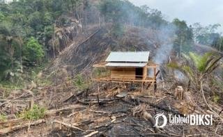 Api Lahap 4 Hektare, Polisi Buru Penyebabnya hingga Tetapkan JP Tersangka