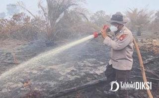 13 Hektare Terbakar, Karhutla Bengkalis Masih Sisakan Titik Api