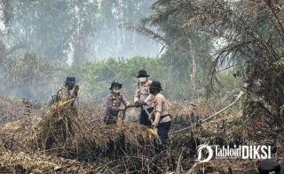 2.958 Hektare Terbakar, Polda Riau Jerat 49 Tersangka Karhutla