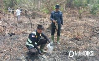 Bakar 3 Titik untuk Buka Kebun Sawit, Api Melahap 1,3 Hektare Lahan, Pelaku ditangkap