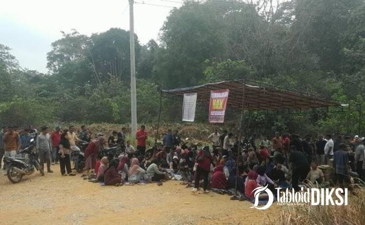 Tuntut Kebun Mitra 20 Persen, Sekitar 1.000 Warga Blokir 3 Titik Jalan PT Serikat Putra di Pelalawan