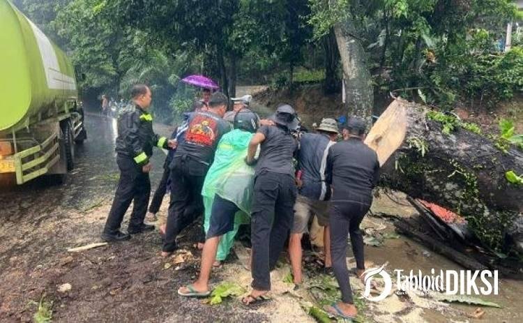Polisi dan Warga Bahu-Membahu Evakuasi Pohon Tumbang di Jalur Pekanbaru-Bangkinang