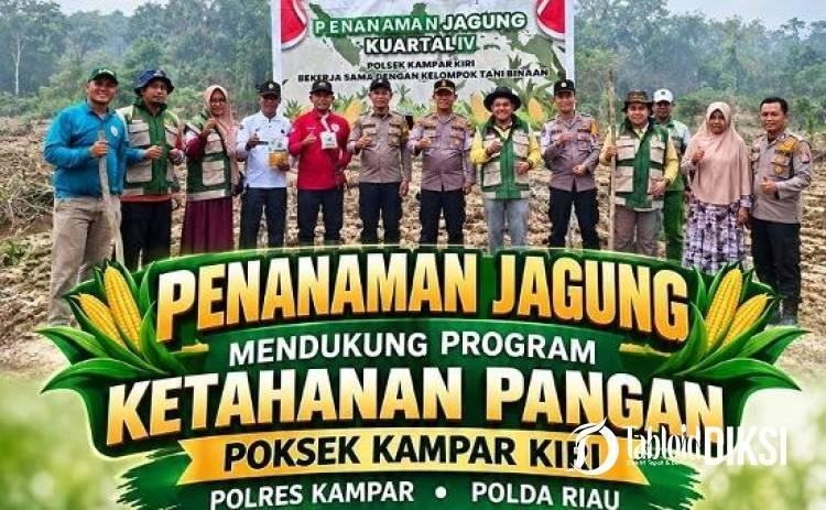 Polisi dan Petani Bersinergi! Satu Hektare Lahan di Kampar Kiri Ditanami Jagung