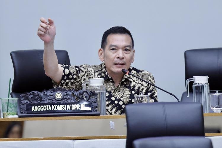 Karhutla Berlangsung Hampir Empat Bulan, Daniel Johan Desak Pemerintah Bergerak Cepat