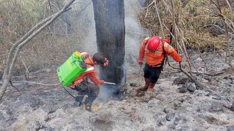BNPB Pantau Karhutla di Tiga Kabupaten, Kuningan Masih Terjadi Titik Api