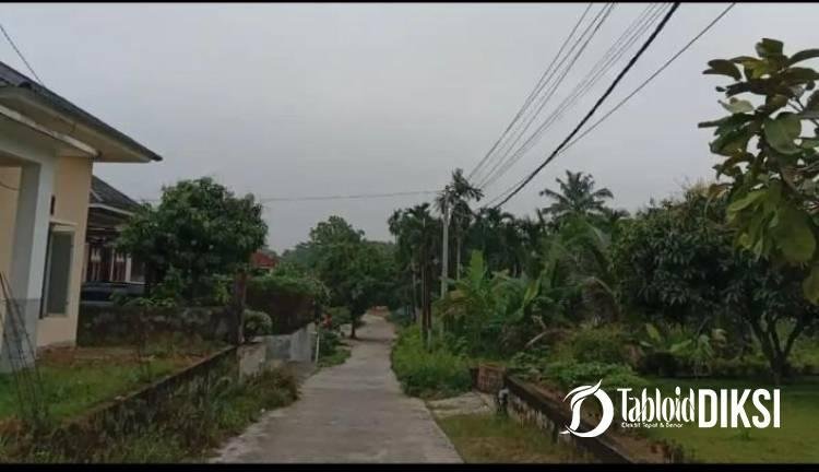 Kualitas Udara Pekanbaru Masuk Kategori Sedang, PM2.5 Tercatat 29,3 µg/m³