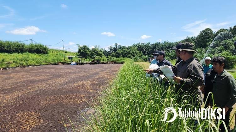 Pemeriksaan Setempat Perkara PT Karya Samo Mas, Kuasa Hukum Sebut Hanya Ada 7 Kolam Limbah