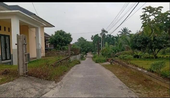 Kualitas Udara Pekanbaru Masuk Kategori Tidak Sehat, BMKG Prakirakan Hujan di Sejumlah Wilayah Riau