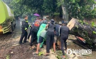 Polisi dan Warga Bahu-Membahu Evakuasi Pohon Tumbang di Jalur Pekanbaru-Bangkinang