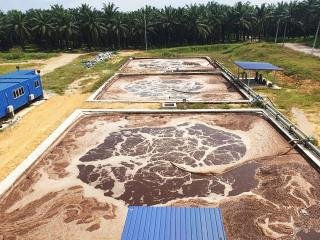 Limbah Sawit Diolah Jadi Biometana, Emisi Karbon Ditargetkan Turun 28.000 Ton per Tahun