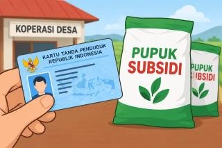 Petani Cukup Bawa KTP Tebus Pupuk Subsidi di Koperasi Desa