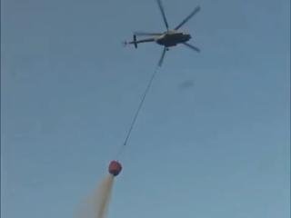 BNPB Kerahkan Helikopter dari Kalsel, Sejumlah Titik Karhutla di Jawa Timur Jadi Perhatian